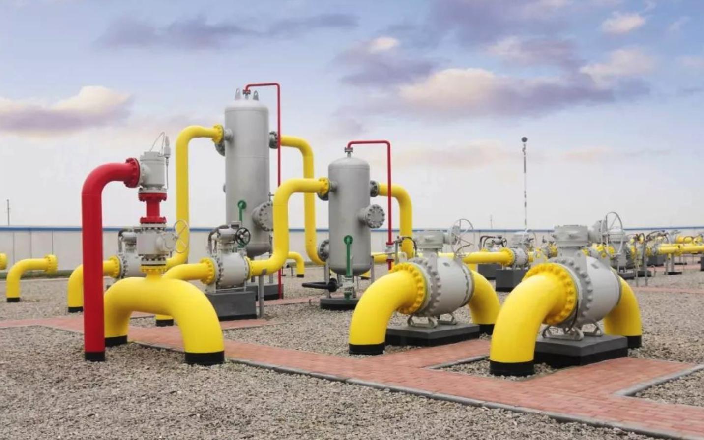 我在珠海挺好｜汪娟萍：把产业导入乡村，带动村民多种经营增产增收