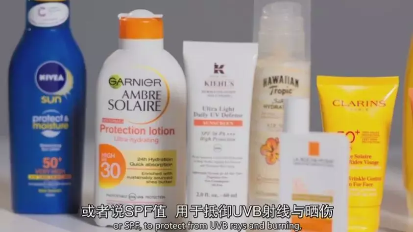 南农晨读丨高州龙眼元气入“厦”