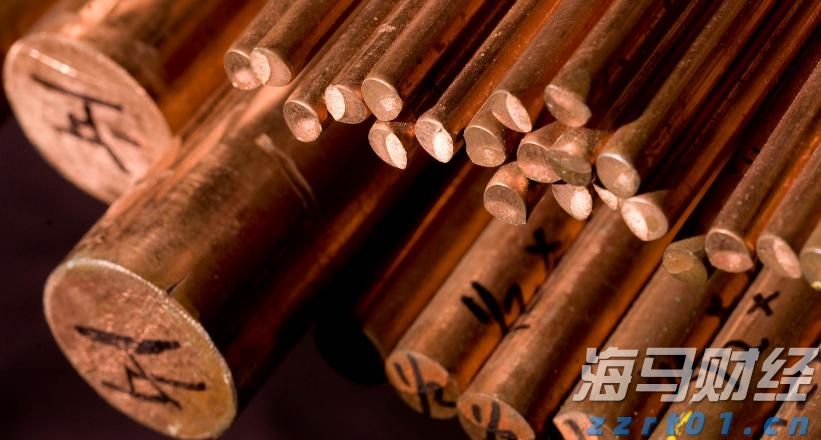 筑牢蚊媒防控屏障，珠海市属公园100余盏灭蚊灯“上岗”