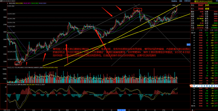 万斯称美正协调安排普京与泽连斯基会晤
